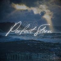 Without Blossom - Perfect Storm