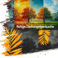 Ostrich Feather - Ruhige Dschungelgeräusche