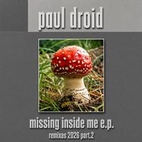 Paul Droid - Missing Inside Me (Remixes 2026 Part.2)