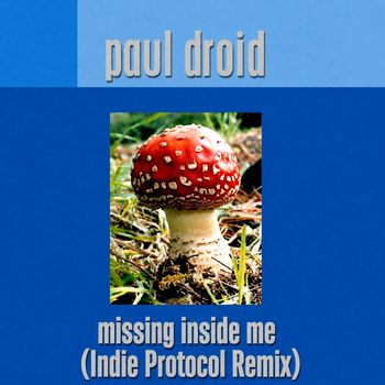 Paul Droid - Missing Inside Me (Paul Droid Indie Protocol Remix)