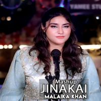 Malaika Khan - Jinakai (Mashup)