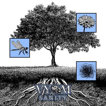VYOM - SANITY