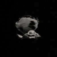 Morpheus - Pearl