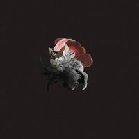 Teodor G. - Demon Is A Wild Animal (Extended mix)