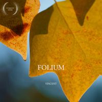 Vincent - Folium