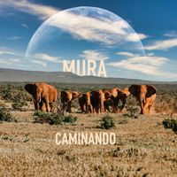 Mura - Caminando