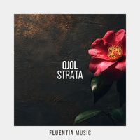 Ojol - Strata