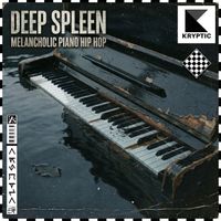 Kryptic - DEEP SPLEEN HIP HOP