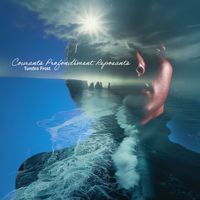 Tundra Frost - Courants Profondément Reposants