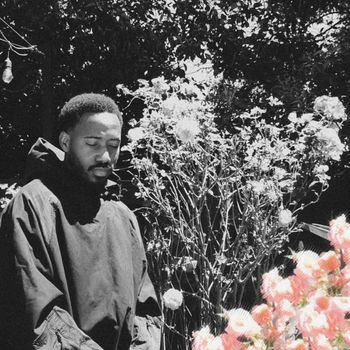 Willis - Reason