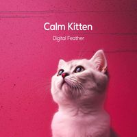 Digital Feather - Calm Kitten