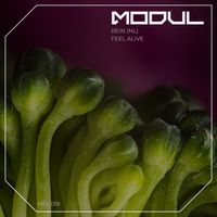 Rein (NL) - Feel Alive