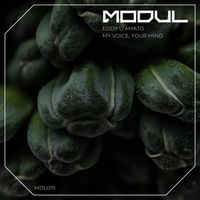 Eddy D'Amato - My Voice, Your Mind