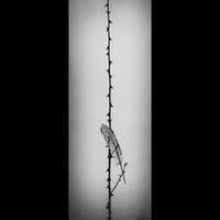 Dim - La plume ou le silence (Explicit)