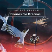 Playing Possum - Drones for Dreams