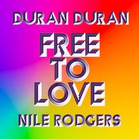 Duran Duran - Free to Love (Horse Meat Disco Remix) / Free to Love (DJWS & THE DISCO_NECT Remix)