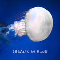 Ocb Relax - Dreams in Blue