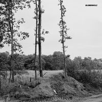 Lula Circus - Blumenholz