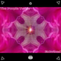 The Purple Turtle - Entwined