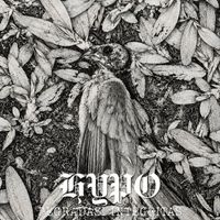 HYPO - Degradasi Integritas