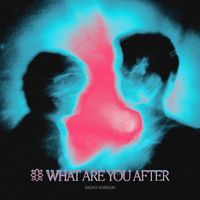 FAT CAT - What Are You After (Radio Version)