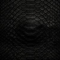 Airbag - Reptiles