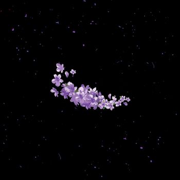SEV - Violet