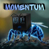 The Outlet - Momentum