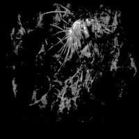SYRUM - CLONE333
