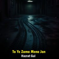 Hazrat Gul - Ta Ye Zama Mena Jan