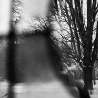 Andrew Tasselmyer - Object Language