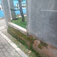 Eko - Umpan harapan