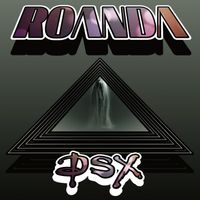 DSX - Roanda