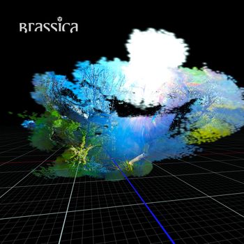 Brassica - CAGE