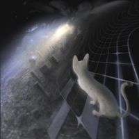 KeryHiroshi - olvidarte