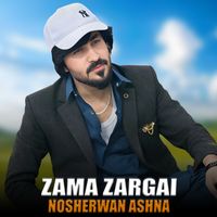 Nosherwan Ashna - Zama Zargai