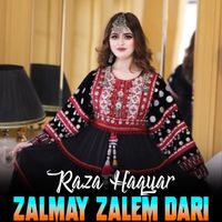 Raza Haqyar - Zalmay Zalem Dari