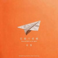 刘维 - 怎能不遗憾