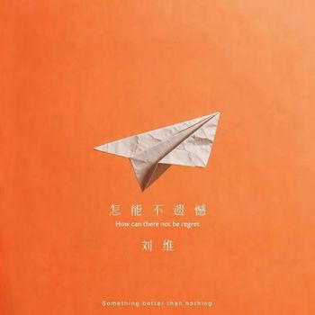 刘维 - 怎能不遗憾