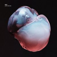 REID - Disfunción