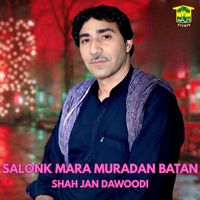Shah Jan Dawoodi - Salonk Mara Muradan Batan