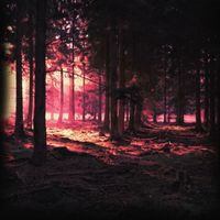 Tenebrax - Zarya