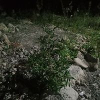 Eko - Ambil lagi