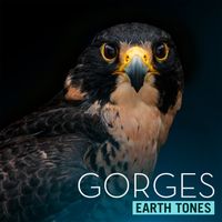 Bleeding Fingers - Earth Tones: Gorges