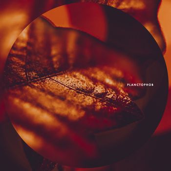 Planctophob - Fossil