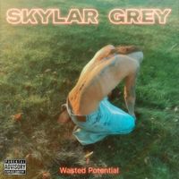 Skylar Grey - Wasted Potential (Explicit)