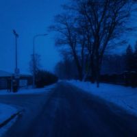mirwin - bare