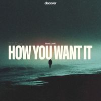 Dallax - How You Want It (Explicit)