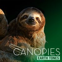 Bleeding Fingers - Earth Tones: Canopies