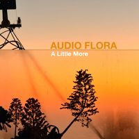 Audio Flora - A Little More